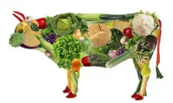 El veganismo o comida vegana mitos y realidades acerca de esta nueva tendencia o estilo de vida